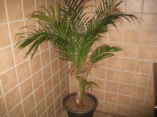 Economy Inn New Orleans Arabi ภายนอก รูปภาพ